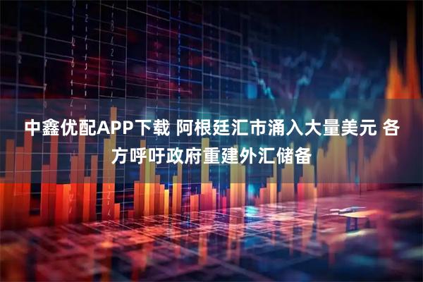 中鑫优配APP下载 阿根廷汇市涌入大量美元 各方呼吁政府重建外汇储备