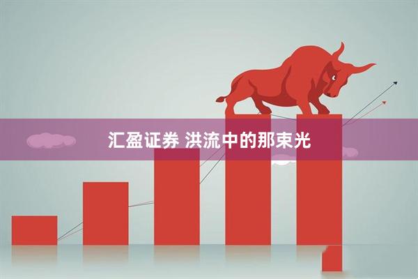 汇盈证券 洪流中的那束光